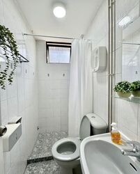 Bassein Court (D11), Apartment #525053941